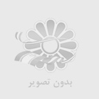 انواع پکیج‌های خدمات سئو در ویکی دمی